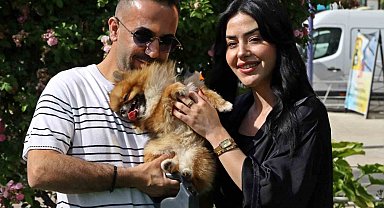 Güzellik yarışmasında birinci seçilip kaybolan köpek bulundu, sahipleri sevince boğuldu