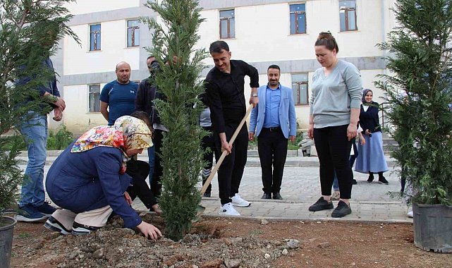 Hakkari'de fidan dikimi