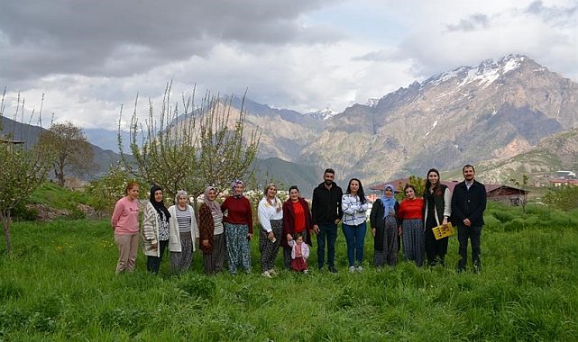 Hakkari'de kadın üreticilere safran yetiştiriciliği eğitimi