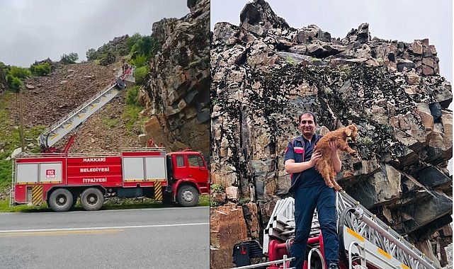 Hakkari'de kayalıklarda mahsur kalan keçi yavrusu kurtarıldı