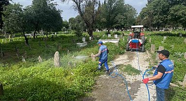 Hamzabali Mezarlığı bakıma alındı