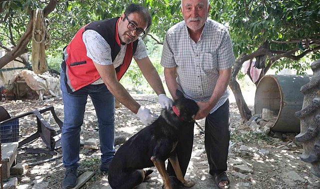 Hatay'da 4 mahallede kuduz karantinası
