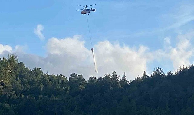 Hatay'da orman yangını