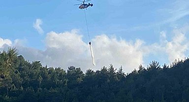 Hatay'da orman yangını