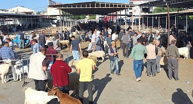 Havran'da Kurban Bayramı öncesi hayvan pazarı denetlendi