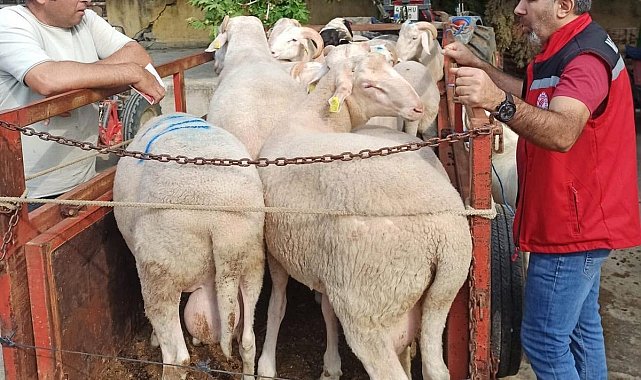 Hayvan pazarında bayram öncesi sıkı denetim