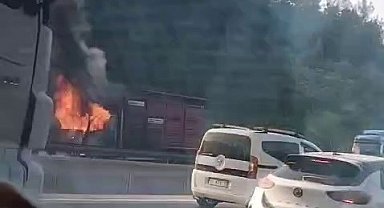 Hayvan yüklü kamyon alevlere teslim oldu