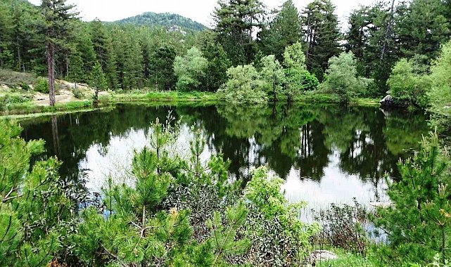 Hisarcık'ta doğal gölette büyüleyici bahar manzarası