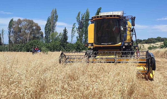 Hububatta hasat dönemi başladı