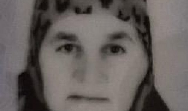 Iğdır'da iki yengesini öldüren zanlı yakalandı