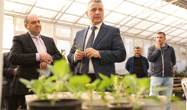 İlkadım'da aromatik bitkiler yaygınlaşıyor