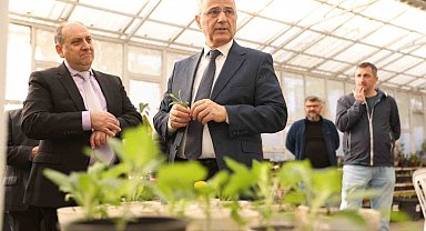 İlkadım'da aromatik bitkiler yaygınlaşıyor