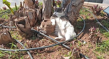 İşçiler çalıştı, o keyfini bozmadı