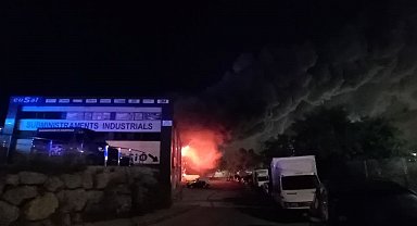 İspanya'da sanayi bölgesindeki yangın sırasında zehirli klor yayıldı