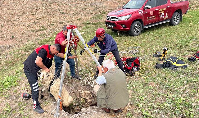 İtfaiye ekipleri kuyuya düşen koyunu kurtardı