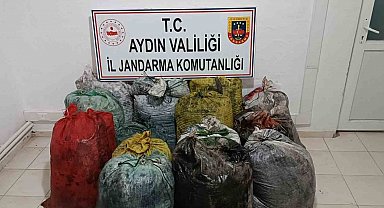 İzinsiz zeytin toplayan 11 şüpheli yakalandı