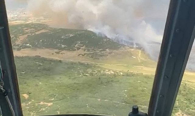 İzmir Foça'da tarım arazisinde başlayan yangın ormana sıçradı