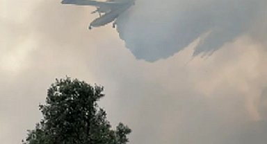 İzmir'de zeytinlik alandaki yangın kontrol altında