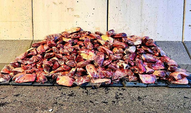 Jandarma 1 ton 700 kilo mühürsüz et ele geçirdi