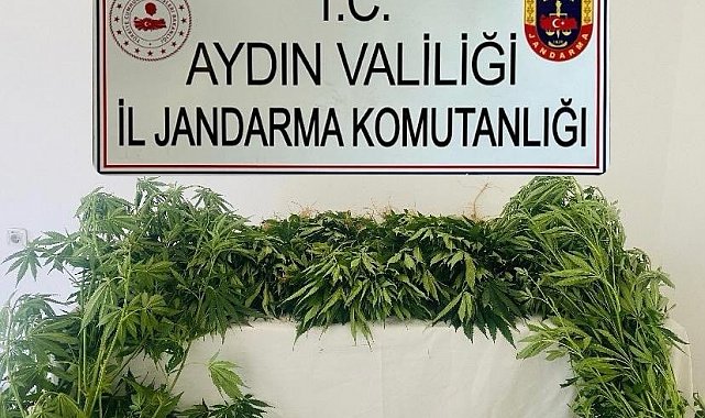 Jandarma ekipleri uyuşturucuya geçit vermedi