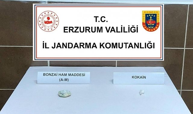 Jandarmadan uyuşturucu operasyonu