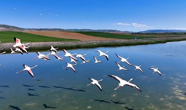Jandarmadan Uyuz Gölünde kuş devriyesi
