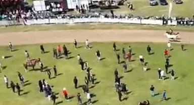 Jokeyi üzerinden attı, yarışa devam etti