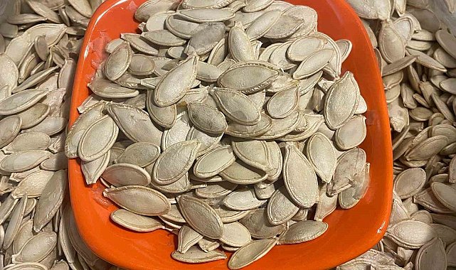 Kabak çekirdeğine "Salmonella", zencefile "Bacillus cereus" nasıl bulaşıyor