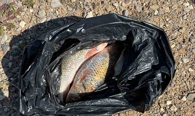 Kaçak Balık avı yapan 2 kişi yakalandı