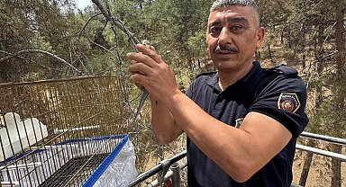 Kafesinden kaçan muhabbet kuşunu itfaiye yakaladı