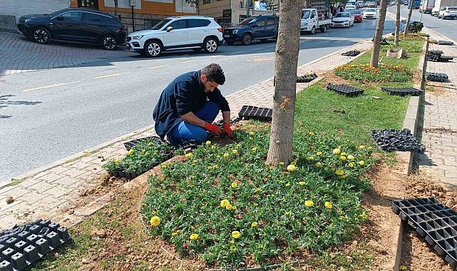 Kağıthane'de yeşil alanlarda bakım çalışması yapıldı