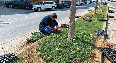Kağıthane'de yeşil alanlarda bakım çalışması yapıldı