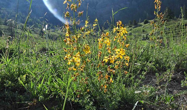 Kahramanmaraş Geben Vadisi Milli Park ilan edildi