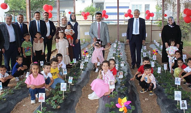 Kahta'da miniklerden çilek hasadı