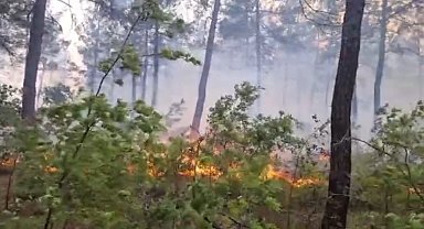 Kale'deki orman yangını rüzgarla birlikte ilerliyor