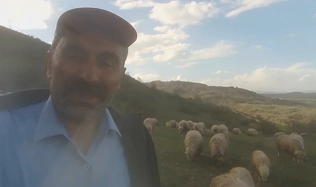 Kangallardan korkan ayı ağaca tırmandı