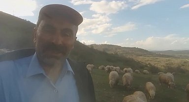 Kangallardan korkan ayı ağaca tırmandı