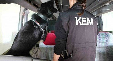 Kapıkule'de 77 kilo ecstacy ele geçirildi