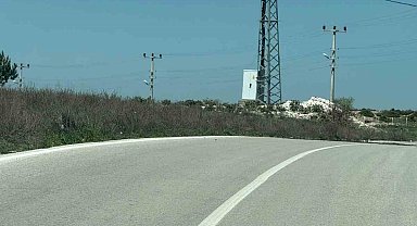 Kaplumbağalara karşı sürücüler uyarıldı