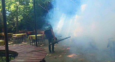 Karacasu'da sinek ve larva ilaçlaması yapıldı