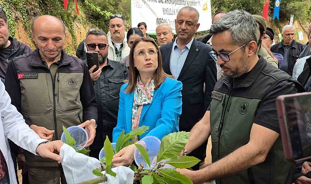 Karadeniz'de "katil arılara" karşı "terminatör böceklerle" mücadele