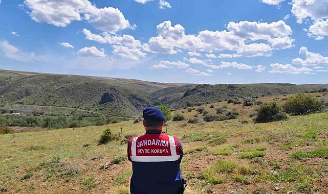 Karanlıkdere Vadisi'nde jandarmadan denetim