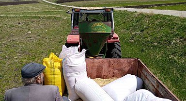 Kars'ta bahar mesaisi başladı