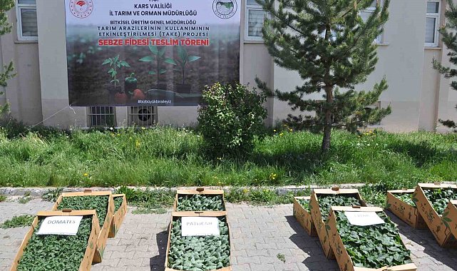 Kars'ta binlerce sebze fidesi dağıtıldı