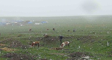 Kars'ta Mayıs karı şaşırttı