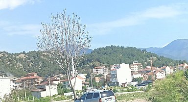 Kastamonu'da otomobil ağaca çarptı: 2 yaralı