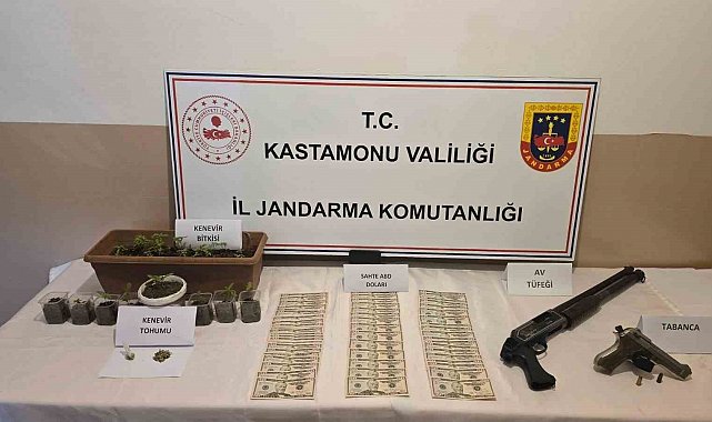 Kastamonu'da uyuşturucu operasyonu: 1 gözaltı