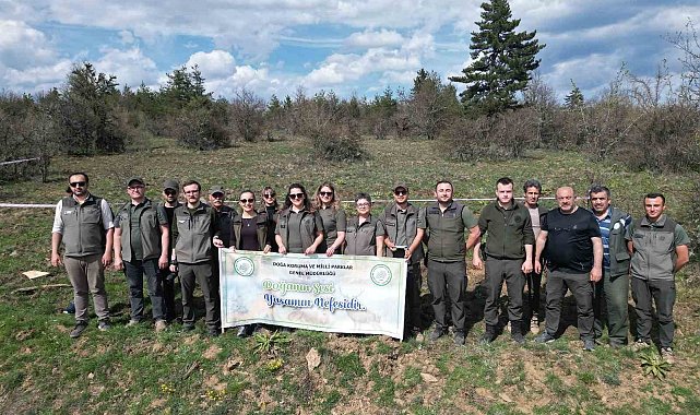 Kastamonu'da yaban hayatı için ormanlık alana fidan dikildi