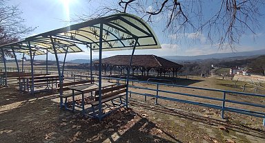 Kastamonu'daki bir ilçede şap karantinası