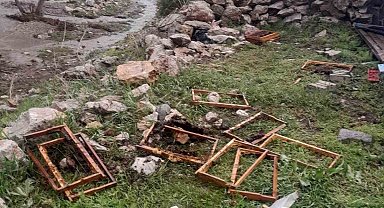 Kayseri'de ayılar arı kovanlarına saldırdı